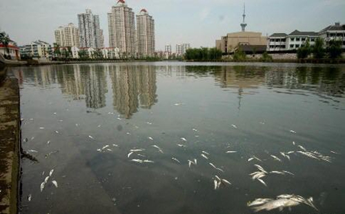 src=http___images.china.cn_images1_200509_199845.jpg&refer=http___images.china.jpg src=http___images.china.cn_images1_200509_199845.jpg&refer=http___images.china.jpg